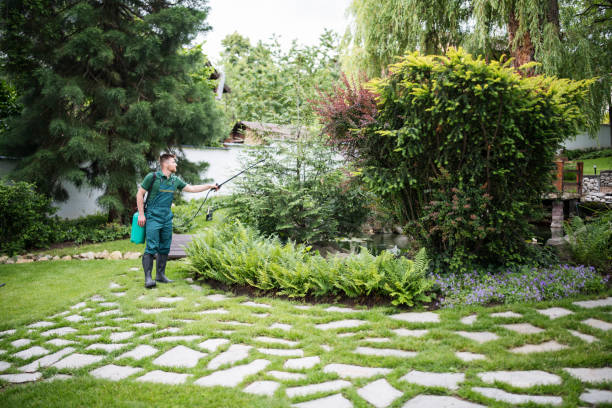 Best Pest Prevention Services  in Wamego, KS