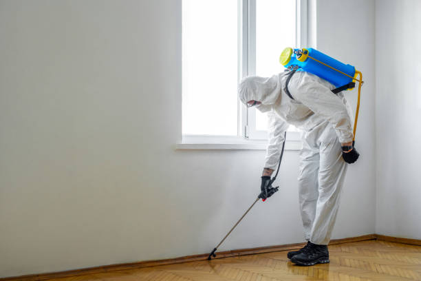 Best Best Pest Control Companies  in Wamego, KS