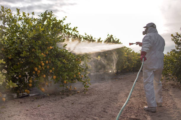 Best Pest Removal Services  in Wamego, KS