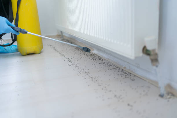 Best Best Pest Control Companies  in Wamego, KS