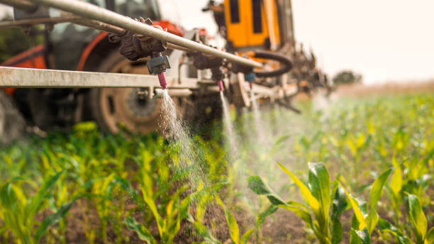 Best Best Pest Control Companies  in Wamego, KS